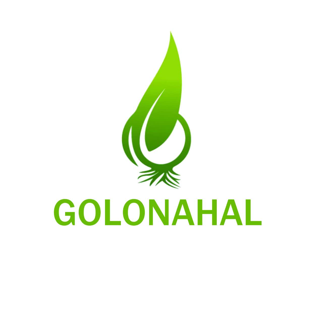 تولید و فروش گل شاخه بریده و آپارتمانی چارفصل کرمی اصفهان